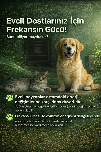 Livan Frekans Cihazı
