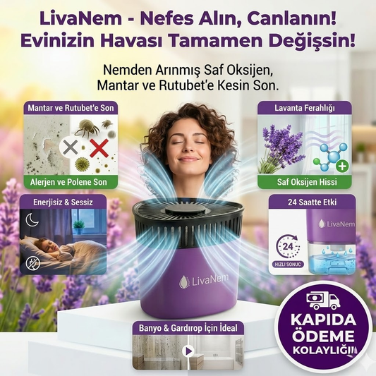 Livanem Nem ve Küf Oluşumunu Engeller